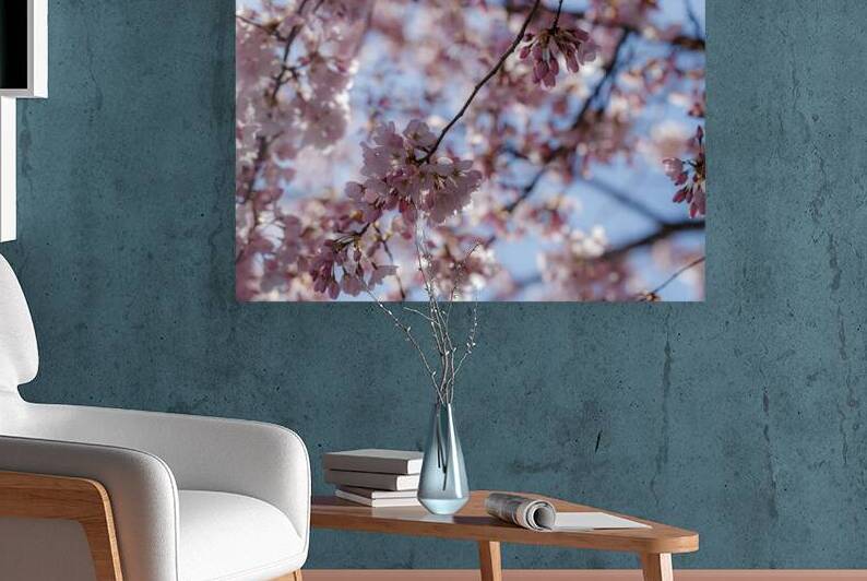 Soft Pink Blossoms: Springs First Blush by Heather Marie Clark