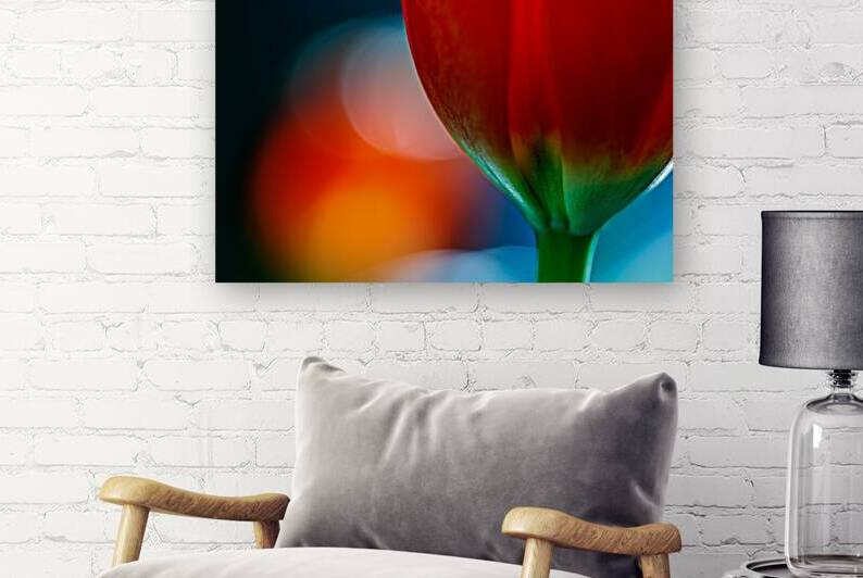 Tulip Semi-abstract print by Heather Marie Clark
