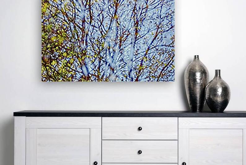 Impressions of a Maple Tree by Heather Marie Clark