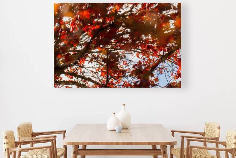 Blooming Red Maple: Impressions of Spring by Heather Marie Clark