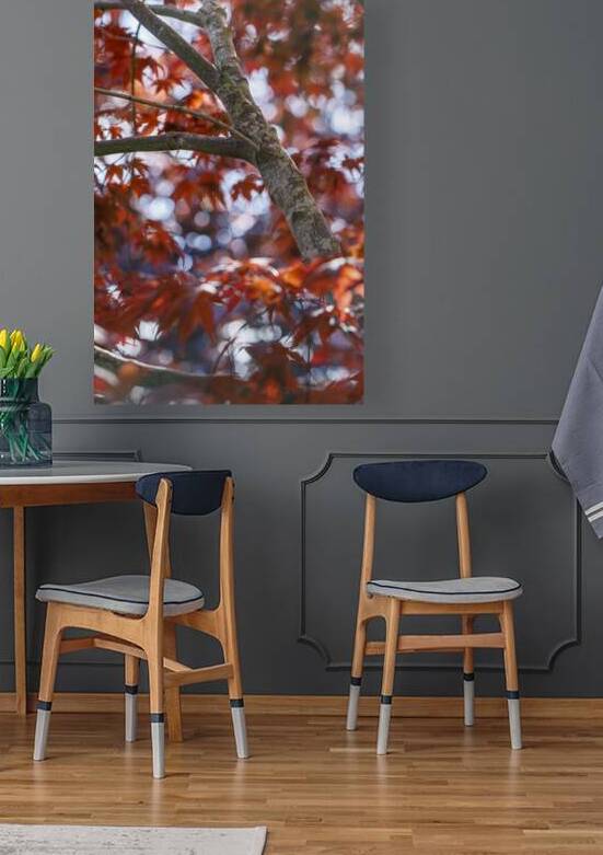 Summer Blaze: Japanese Maple by Heather Marie Clark