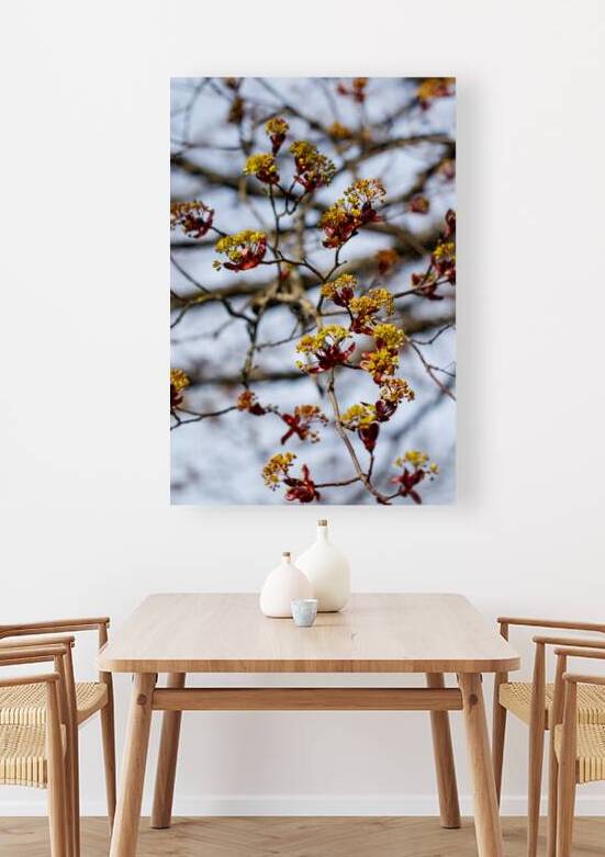 Eternal Spring: The Dance of Red and Gold Blossoms by Heather Marie Clark