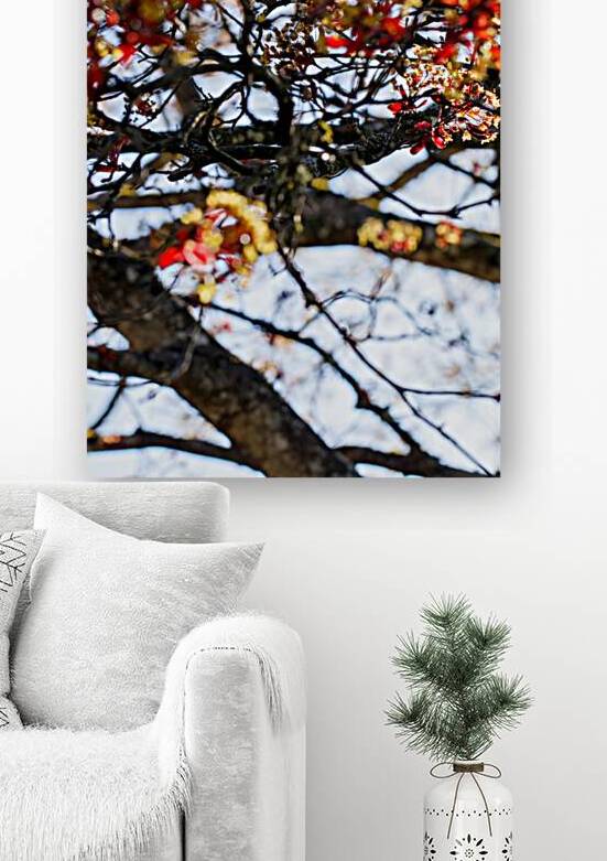 Radiant Canopy: The Beauty of Red Maples Spring Blossoms by Heather Marie Clark