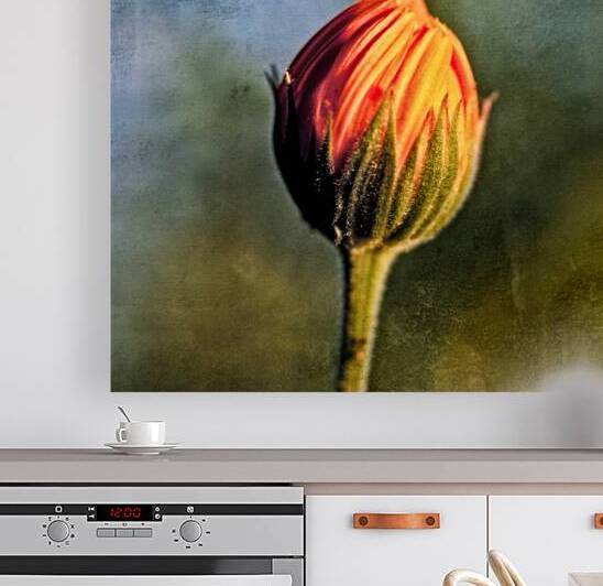 Perfection unfurling by Heather Marie Clark