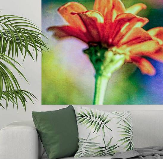 Orange flower  by Heather Marie Clark