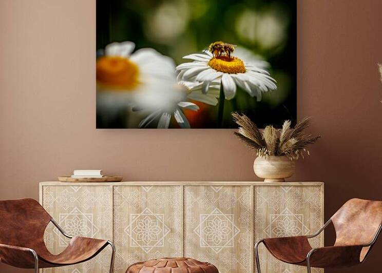Whispers Among the Petals by Heather Marie Clark