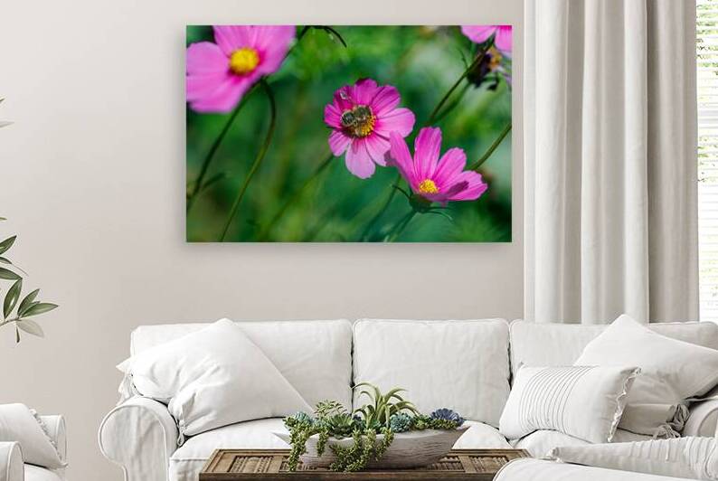 Flight of the Pollinator by Heather Marie Clark