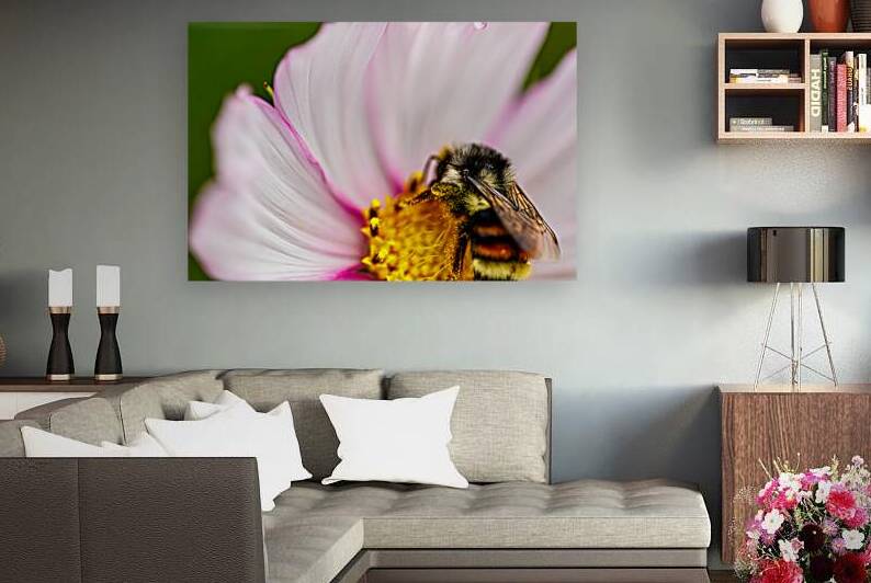 Pollen Laden Bumble Bee by Heather Marie Clark