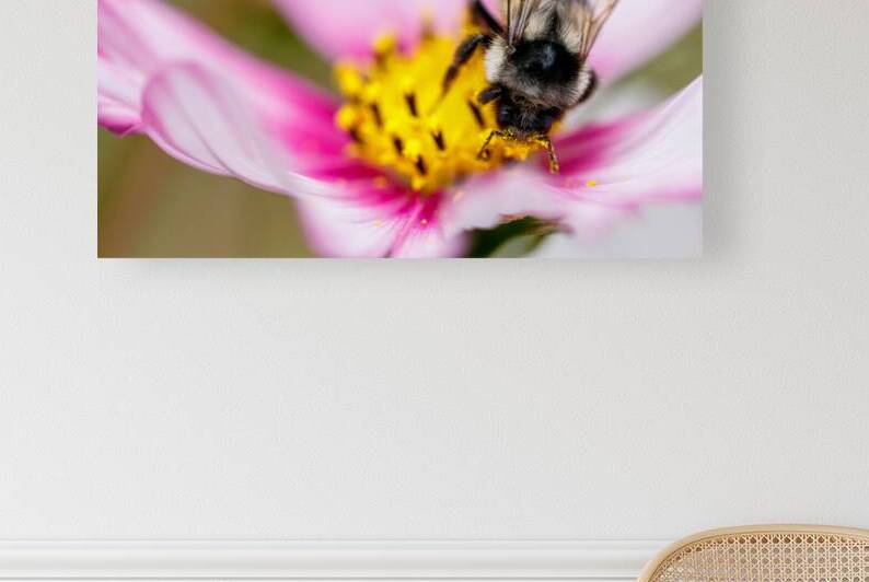 Harmony in Bloom by Heather Marie Clark