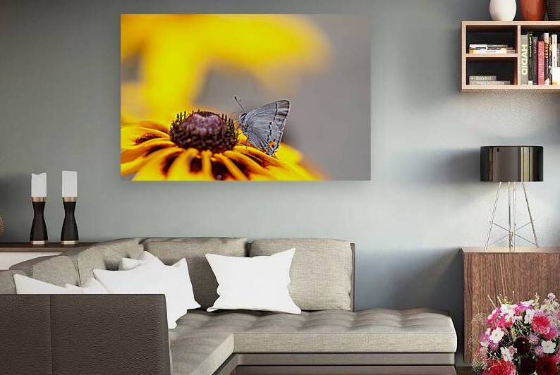  Fluttering Feasts by Heather Marie Clark