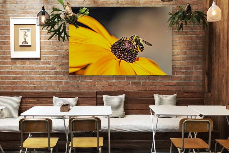 Pollen Pilgrim by Heather Marie Clark