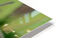Outdoor Nuken HD Metal print
