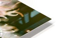 C@nn@ abstraction HD Metal print
