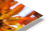 Kinetic Maple Abstract HD Metal print