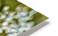 Close up with Anne HD Metal print