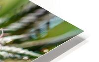 Green Symphony HD Metal print