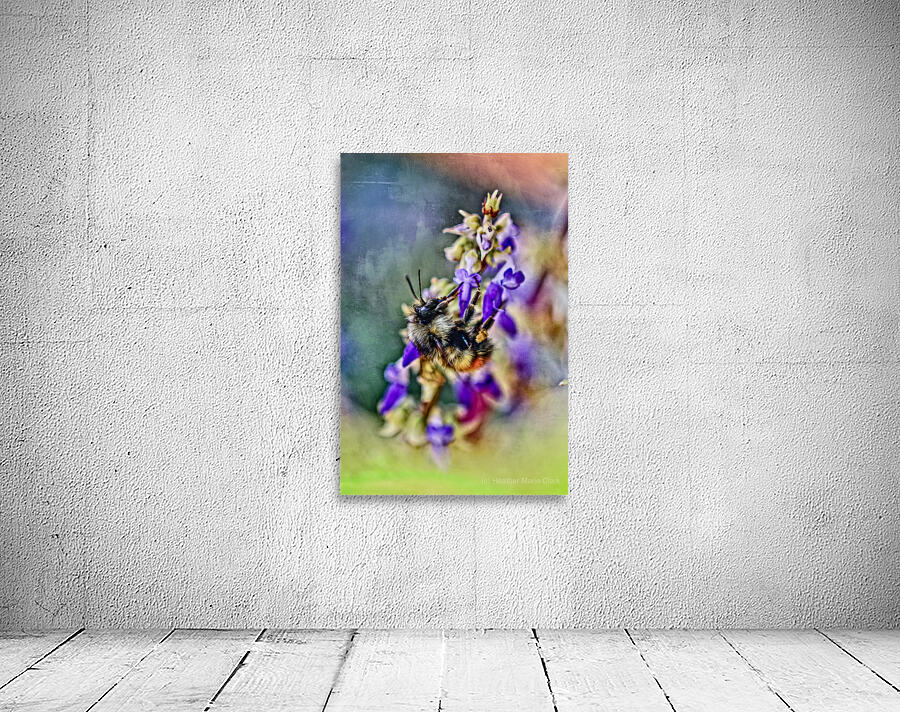 Bee on Coleus Flower Wall Preview