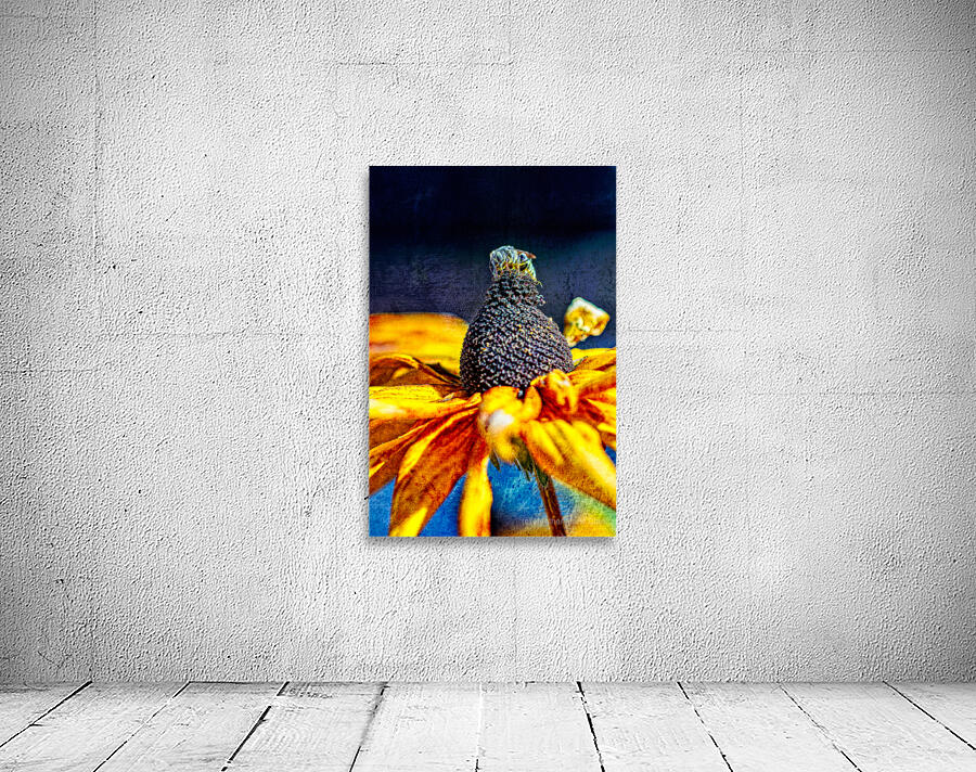 Golden Harvest: : Bee on Black Eyed Susan Flower Wall Preview