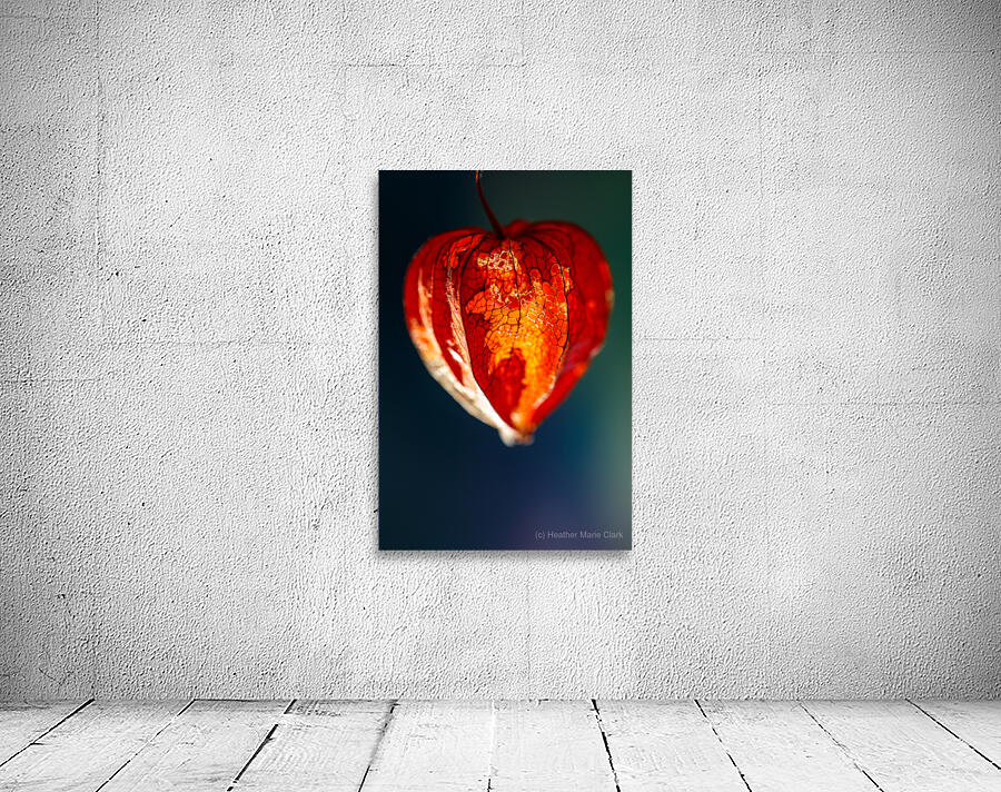 Bright Orange Lantern Flower Wall Preview