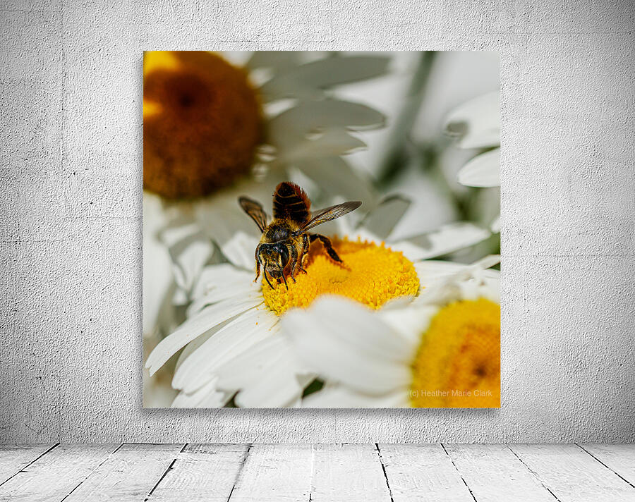 The Nectar Collector Wall Preview