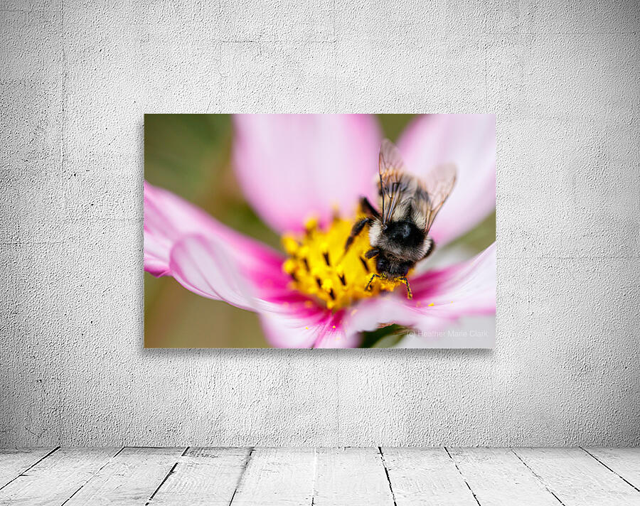 Harmony in Bloom Wall Preview