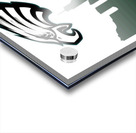 Philadelphia Eagles 2 Acrylic print