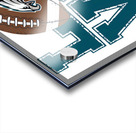 Philadelphia Eagles 39 Acrylic print