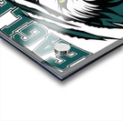 Philadelphia Eagles 3 Acrylic print