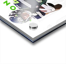 Seattle Seahawks 39 Acrylic print