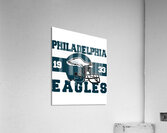 Philadelphia Eagles 3 Acrylic Print