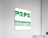 Philadelphia Eagles 9 Acrylic Print