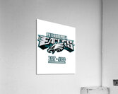 Philadelphia Eagles 40 Acrylic Print