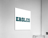 Philadelphia Eagles 41 Acrylic Print