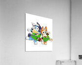 Seattle Seahawks 13 Acrylic Print