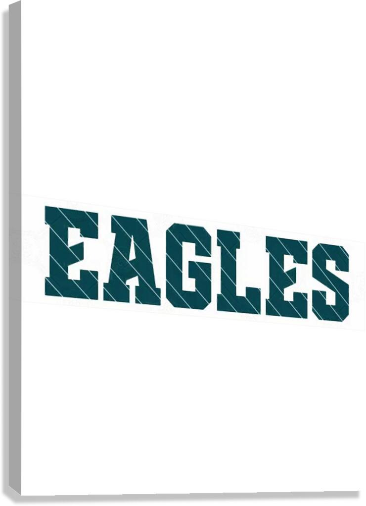 Philadelphia Eagles 41 Canvas Print