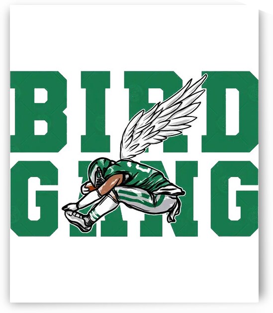 Philadelphia Eagles 29 by EstherMWhitehead