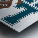 Philadelphia Eagles 39 Metal print