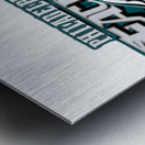 Philadelphia Eagles 40 Metal print