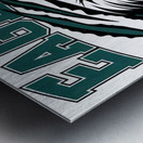 Philadelphia Eagles 3 Metal print