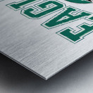 Philadelphia Eagles 4 Metal print