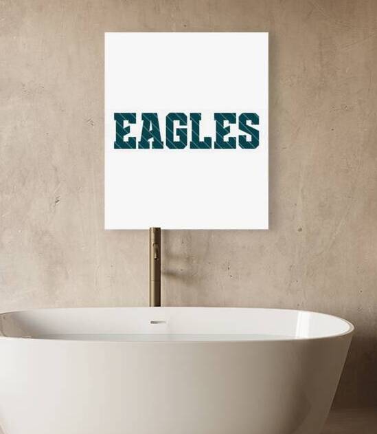 Philadelphia Eagles 41 by EstherMWhitehead