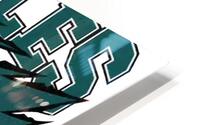 Philadelphia Eagles 3 HD Metal print
