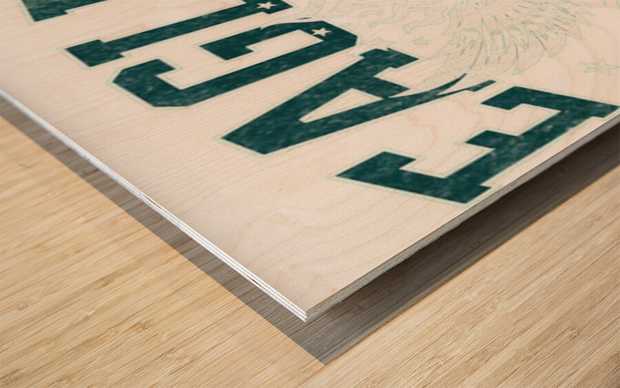 Philadelphia Eagles 2 Wood print