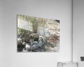 Sheep Huddle Acrylic Print