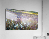 Dream Field Acrylic Print