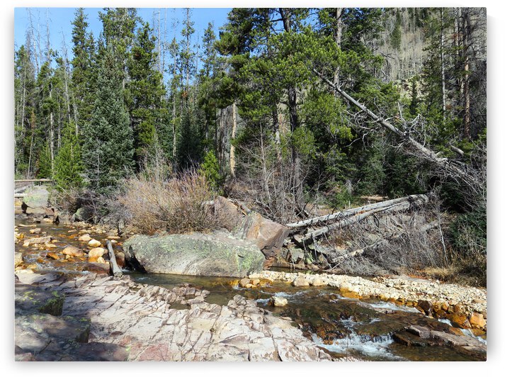 Upper Provo River by Brian Shaw