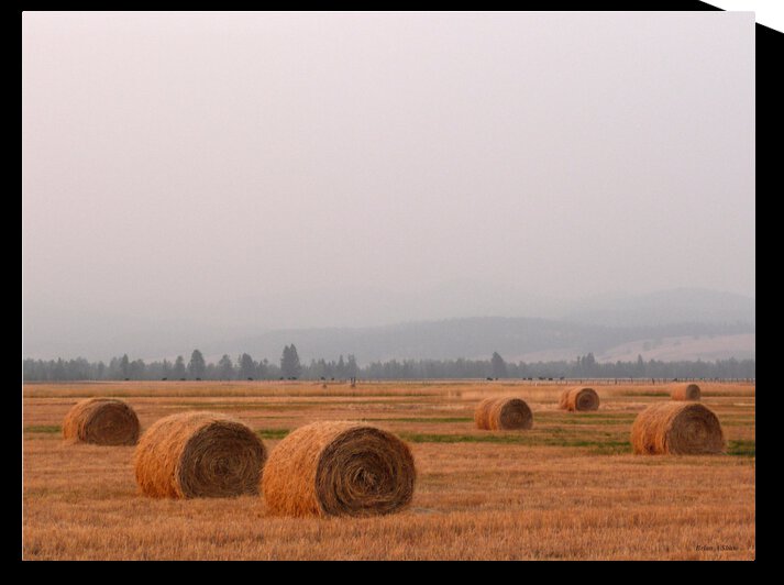Haybales in a Haze by Brian Shaw