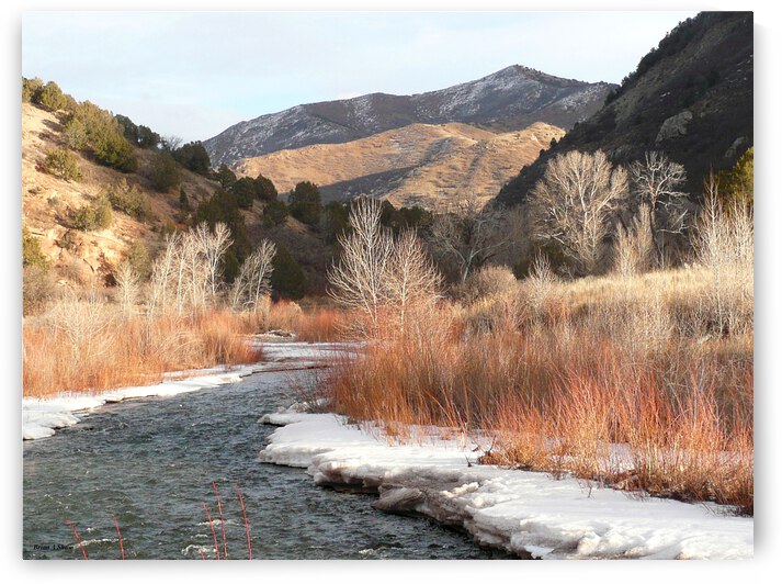 Diamond Fork River by Brian Shaw