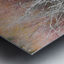 Willows Metal print