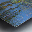 Dragonfly on the Madison Metal print